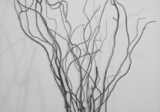 Silent Tree