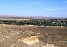 Bahariya Oases 5