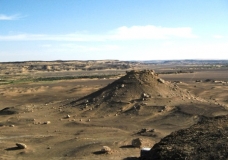 Bahariya Oases 6