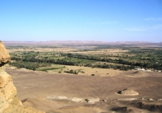 Bahariya Oases 7