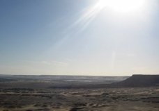 Bahariya Oases 8