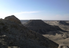 Bahariya Oases 11