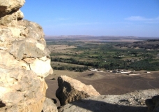 Bahariya Oases 12