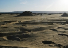 Bahariya Oases 14