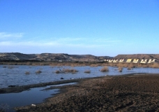 Bahariya Oases 15