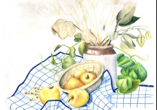 Still Life