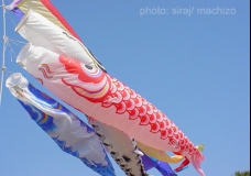 Koinobori