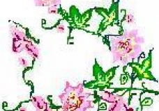 my fav flowers
