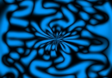 Water Lily