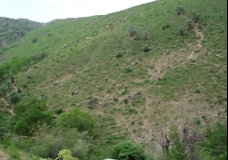 Nature of Uzbekistan in spring
