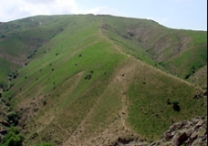 Uzbek nature