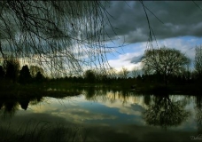 an evening scene