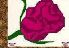 Red Rose