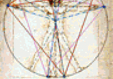 VITRUVIAN MAN DROP