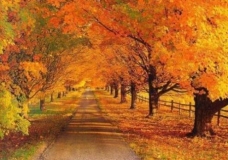 the way of nature