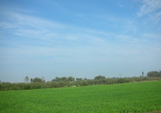 Green Nepal