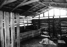 Cacao Fermenting