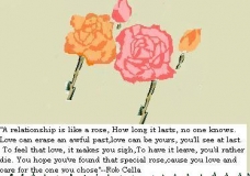 relationship is like a rose