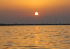 Pictures from Tunisia (Kerkennah Island)...