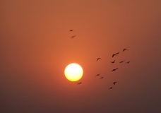 The Setting Sun