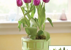 flower vase