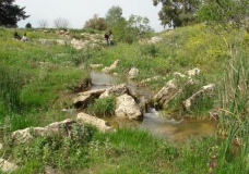 Pictures from the northern Tunisia (Djebba)...