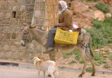 A man on his donkey :) !