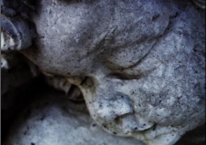 Cherub
