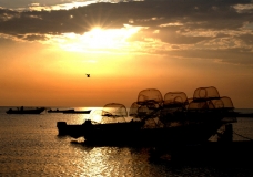 ضوء البحر