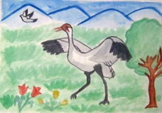 Save Birds.