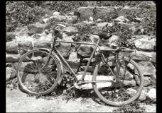 Old Age