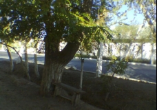 The Bench at My Home