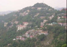 Shimla