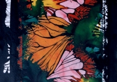 AMAZONIA  1
