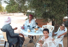 The breakfast of generations
