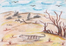The desert