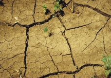 DROUGHT