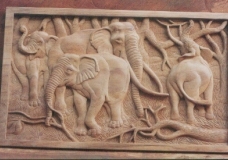 Elephants in action