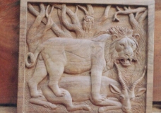 A lion in action