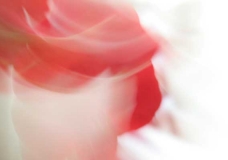 Flora flow