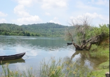 On the Banks of River Sharavathi, Western Ghats...