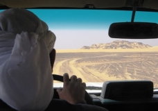 Bahariya Oases 16