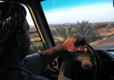 Bahariya Oases 17
