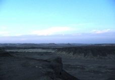 Bahariya Oases 19