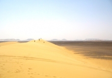 Bahariya Oases 21