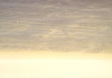 Bahariya Oases 23