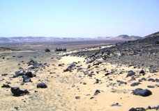 Bahariya Oases 24