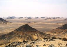 Bahariya Oases 26