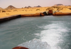 Bahariya Oases 27