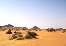 Bahariya Oases 28